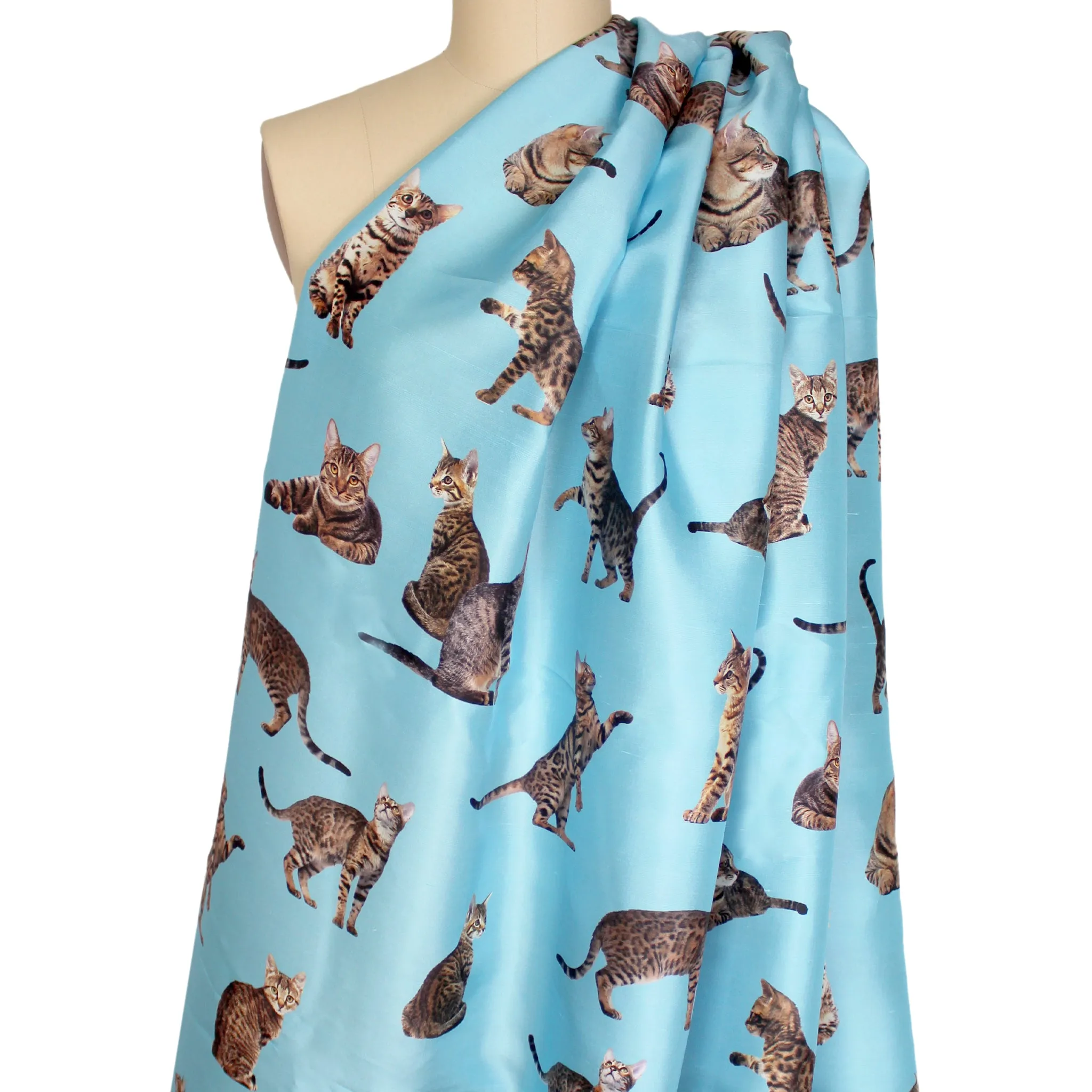 French 'good kitty' printed silk woven - sky